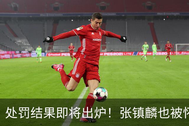 处罚结果即将出炉！张镇麟也被怀疑，球迷呼吁应取消上海冠军