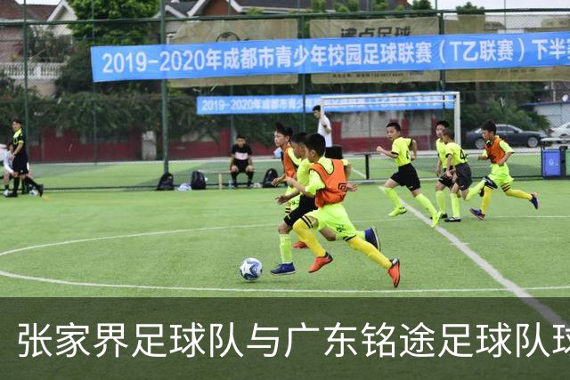 张家界足球队与广东铭途足球队球员赛中发生肢体冲突 官方通报