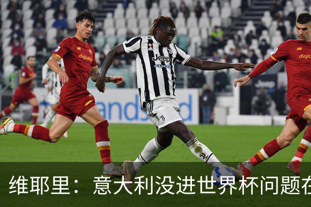 维耶里：意大利没进世界杯问题在体制 出路在于有效培养年轻球员