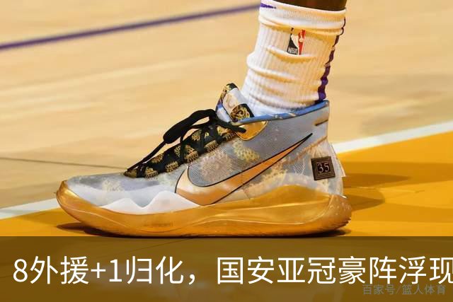 8外援+1归化，国安亚冠豪阵浮现 斯帕伊奇穿25号 申花浪费专属名额